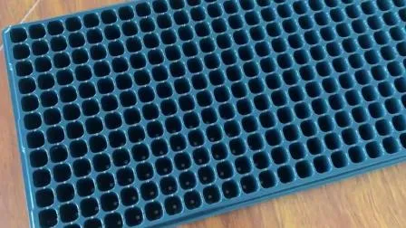Vassoio di propagazione Vassoio di germinazione dei semi Vassoio per piantina di riso