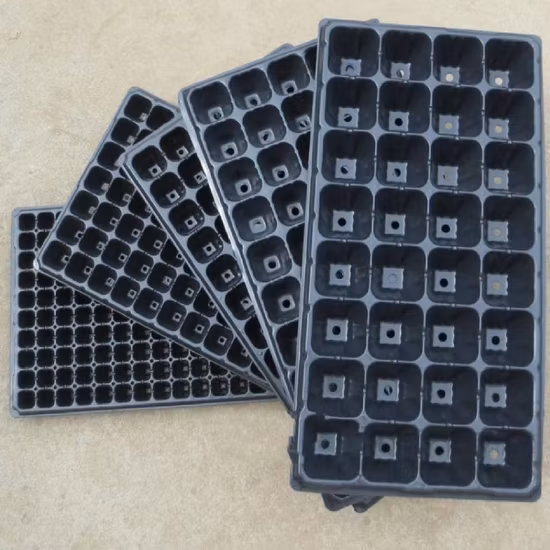 Vassoio per piantine di riso in plastica dura Skyplant 200 celle
