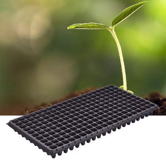 Vassoio di avviamento per semi di germinazione del giardino Vassoio per piantina di riso in plastica di polistirolo Spina per vivaio Vaso di fiori che germoglia il vassoio di coltivazione della pianta